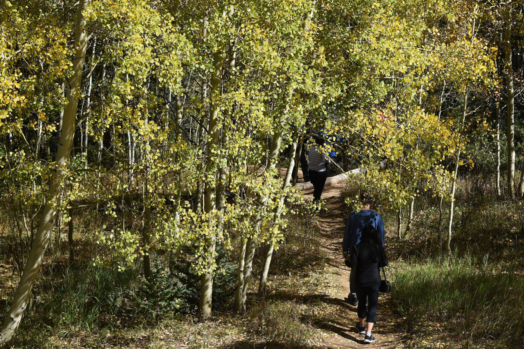 092821-news-aspens 09.JPG
